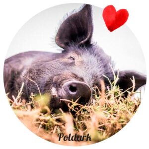 Aporte al Santuario Juliana's Animals Sanctuary. Poldark