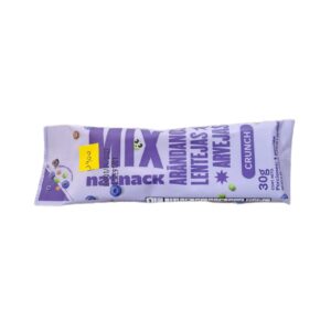 Snack mix arandanos Natnack 30g